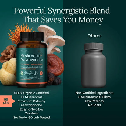 USDA Organic Lions Mane Supplement Capsules with Ashwagandha, Chaga, Reishi, Cordyceps, Turkey Tail (18,600mg/serv) 10x Adaptogenic Mushroom Complex as Focus Supplement - Energy, Immunity & Nootropic Etta VitaBuy Supplements Australia