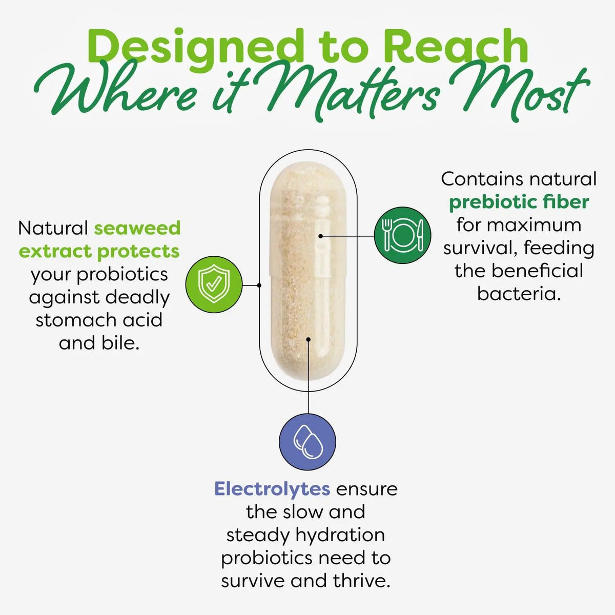 Probulin Total Care Immune = Prebiotics + Probiotics + Postbiotics + Elderberry to Support Immune & Gut Health - 20 Billion CFU - 10 Probiotic Strains, 30 Vegan Capsules ProbulinBuy Supplements Australia