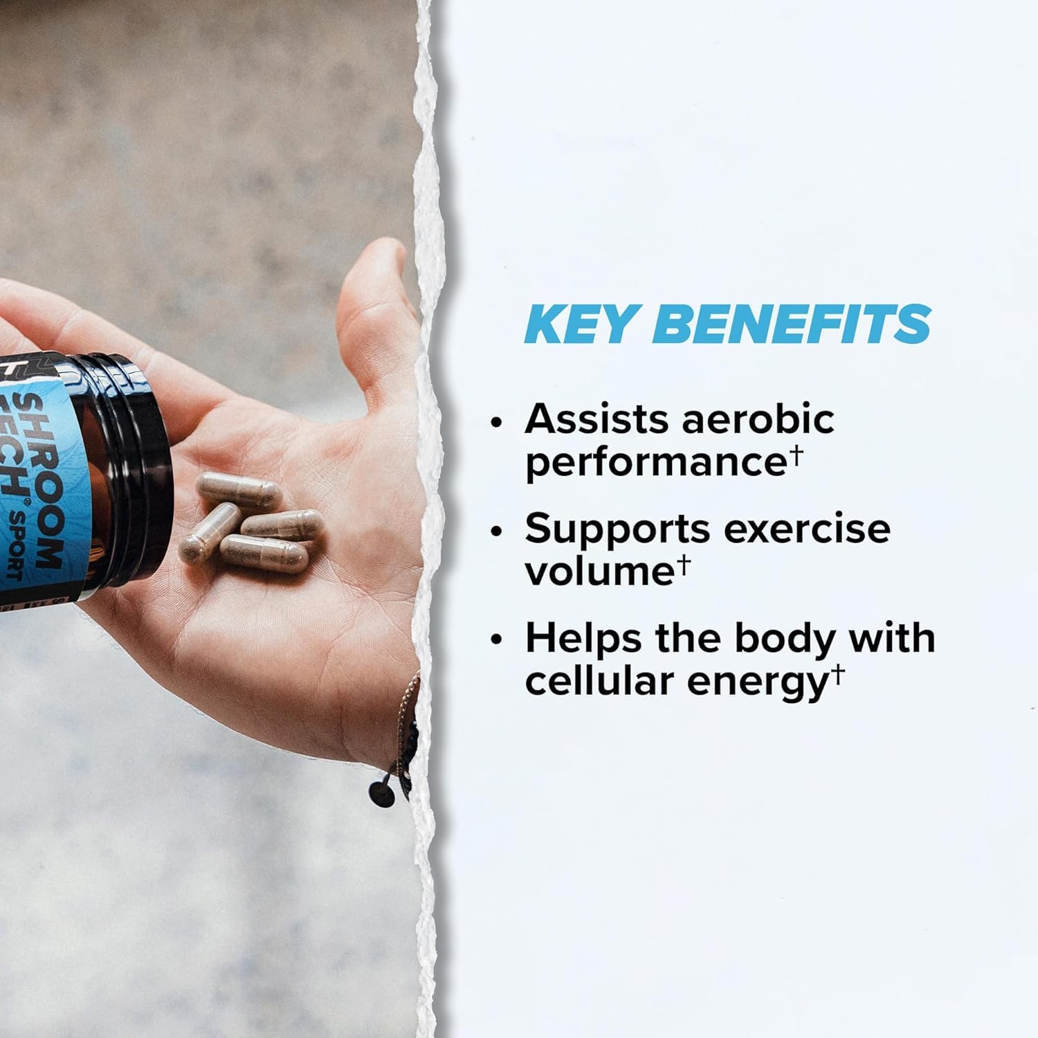 ONNIT Cognitive & Endurance Support Bundle: Alpha Brain Nootropic Capsules (30 Count) + Shroom Tech Sport Exercise Support Capsules (28 Count), IGEN Non-GMO Tested Focus, Energy & Endurance, 2 Pack ONNITBuy Supplements Australia