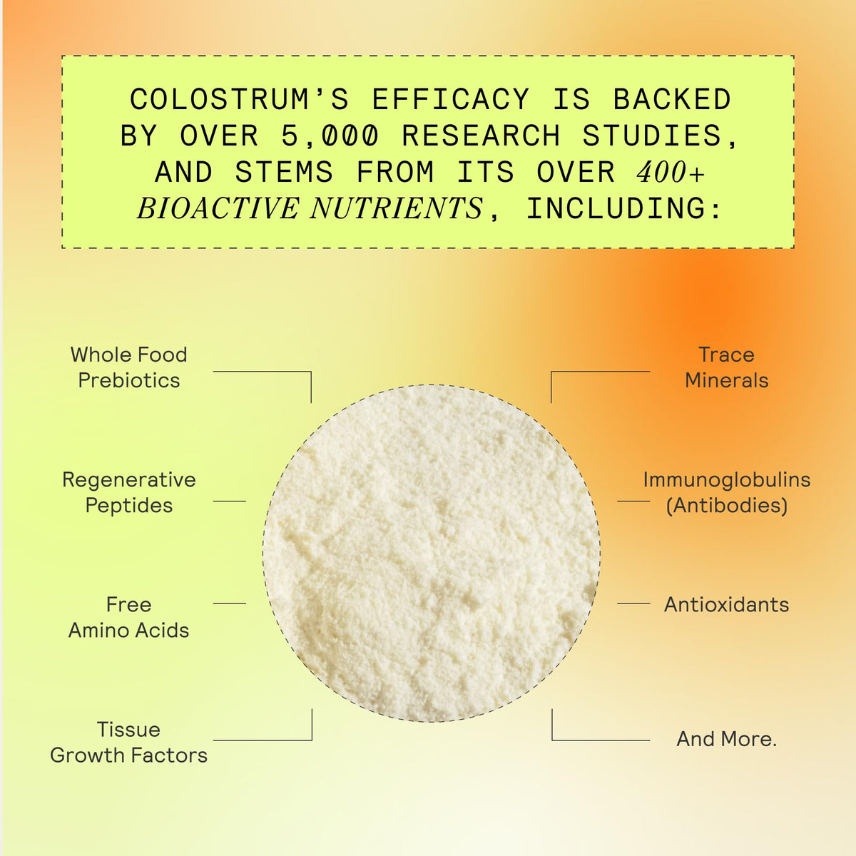 ARMRA Colostrum™ Premium Powder, Grass Fed, Gut Health Bloating Immunity Skin & Hair, Contains 400+ Bioactive Nutrients, Potent Bioavailable, Keto, Gluten & Fat Free (Blood Orange 30｜Blood Orange 60) ARMRABuy Supplements Australia