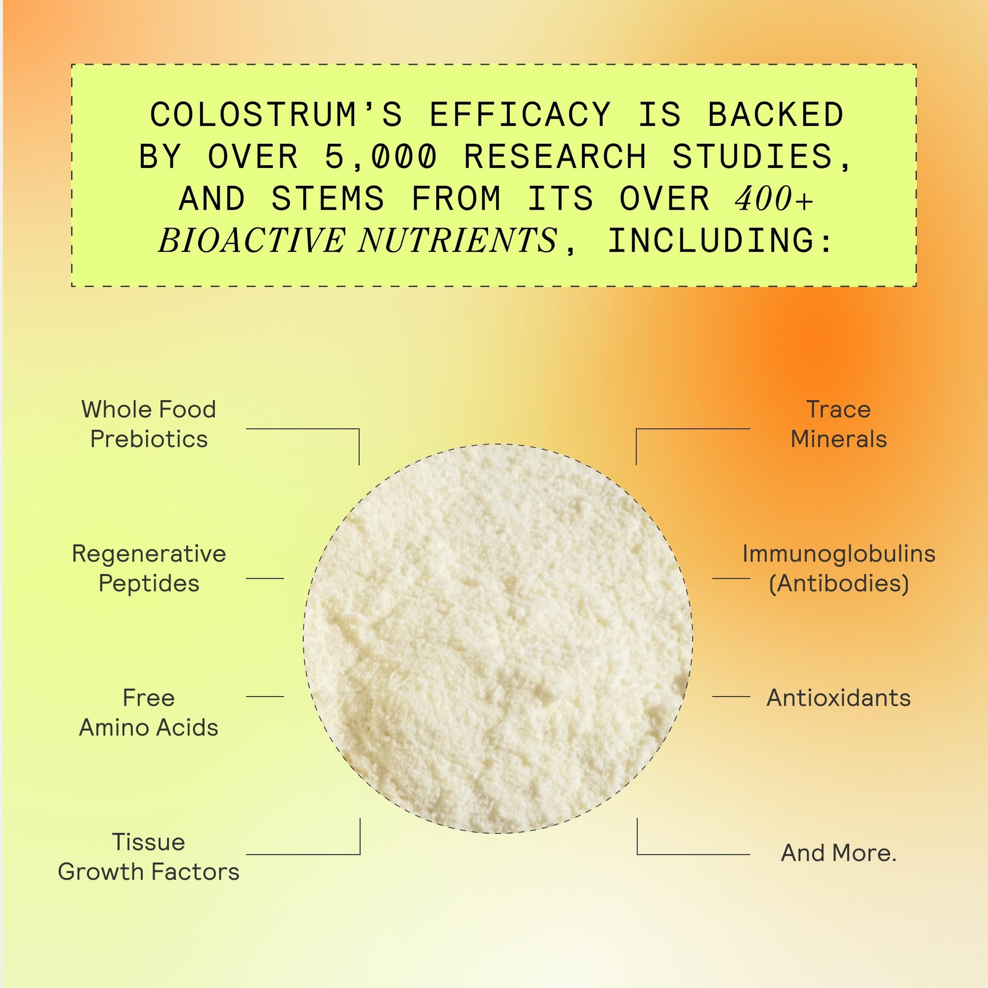 ARMRA Colostrum Powder | Vine Watermelon | Gut Health & Bloating | Skin & Hair | Immunity | Keto, Gluten & Fat-Free | 60 Servings ARMRABuy Supplements Australia