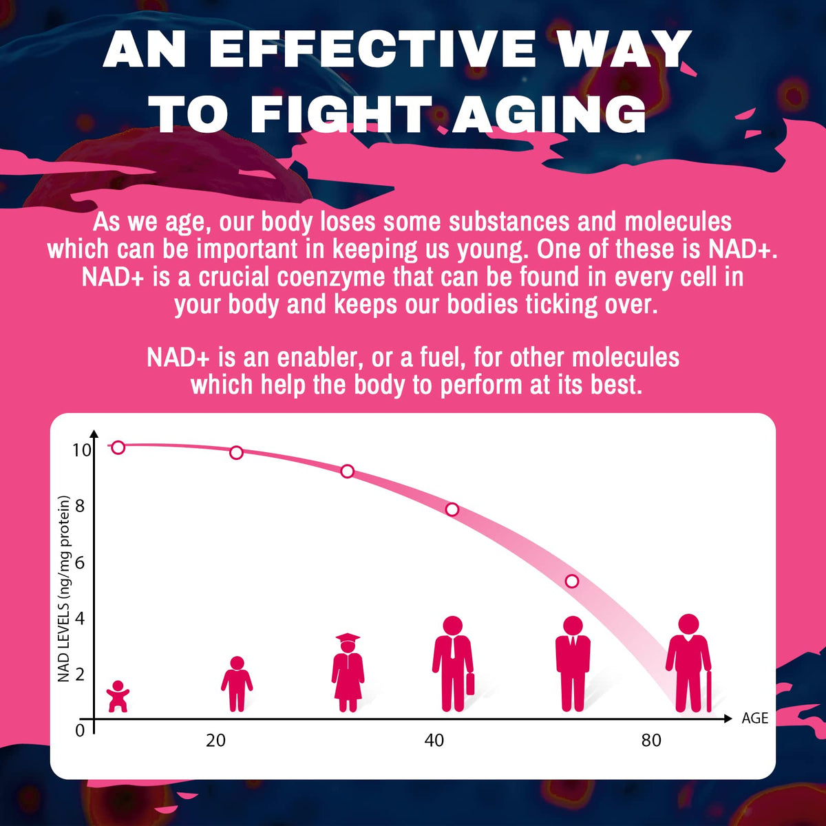 Laevigo Liposomal NAD+ Supplement 1200mg High Absorption, Cellular Energy & Mitochondrial Support, NAD Plus for Longevity & Vitality, Anti-Aging Formula, 60 Softgels LaevigoBuy Supplements Australia