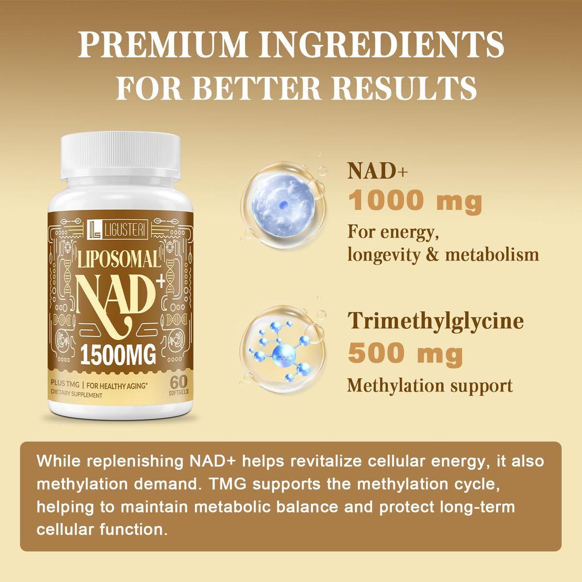 LIGUSTERI 1500 MG Liposomal NAD+, 98%+ Absorption, NAD+ Supplement for Women & Men with TMG, for Aging Defense, Cellular Energy, Heart & Brain Function, Longevity, 120 Softgels LIGUSTERIBuy Supplements Australia
