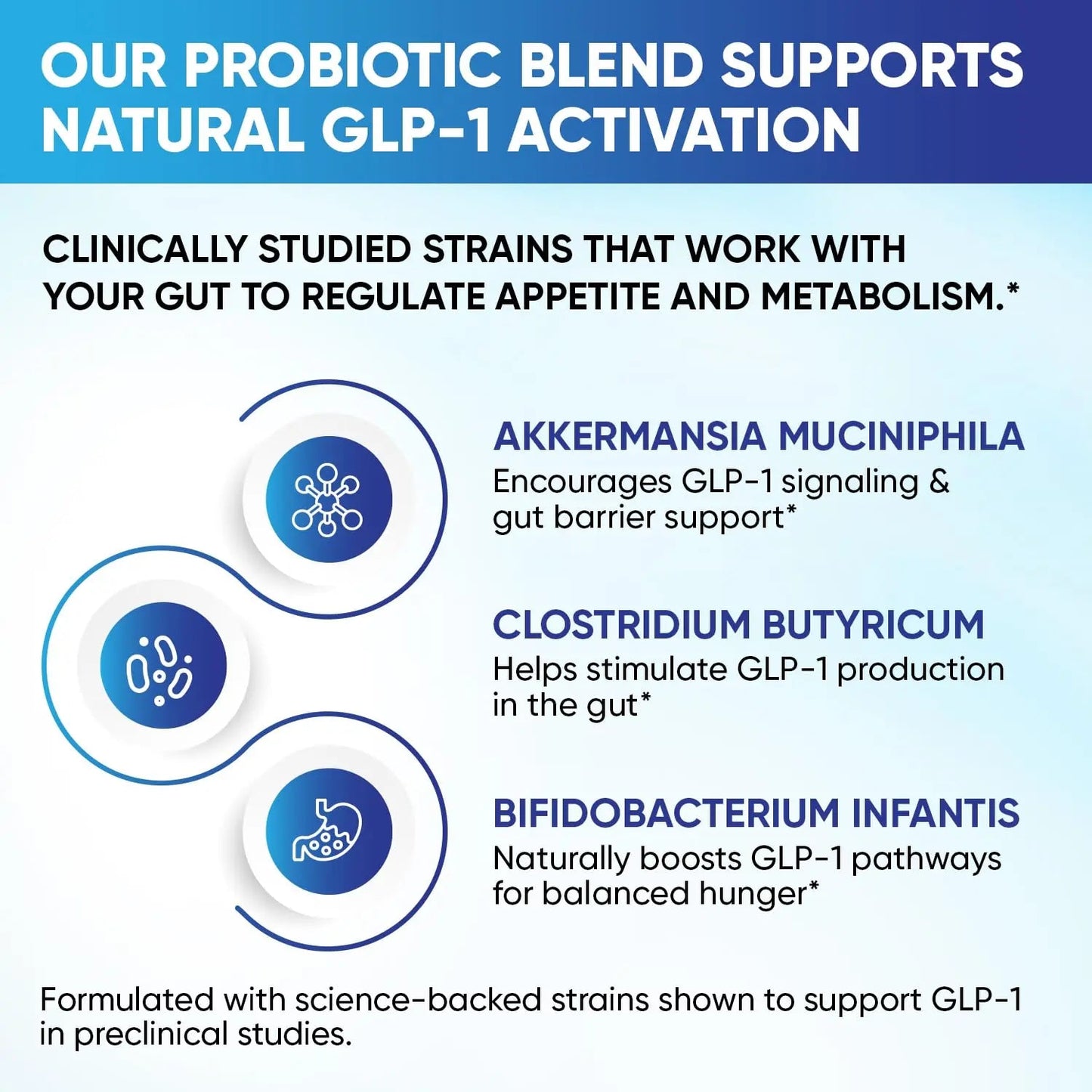 GLP-1 XLR8 Supplement for Weight Loss, Digestion, Constipation, Bloating Relief with Akkermansia 2.6 Billion AFU Live Prebiotic Probiotic Postbiotic Gut Health + Berberine for Women Men 60 Capsules Snappy ScriptsBuy Supplements Australia