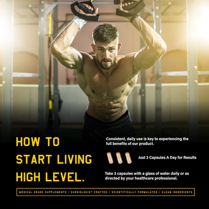 High Level Man | 12-in-1 Testosterone & Vitality Formula for Men | Tongkat Ali, DIM, Tribulus, Ashwagandha, Fenugreek, Zinc & Maca, & More | Energy, Strength, Performance Support Science High LevelBuy Supplements Australia