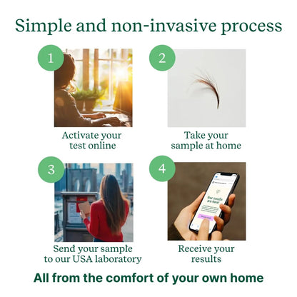 Check My Body Health 990 Items Complete Food Sensitivity Test Kit for Adults and Kids – Non-Invasive Food Intolerance Test Kit – at-Home Hair Sample Bioresonance Testing with Results in 3–5 Days Check My Body HealthBuy Supplements Australia
