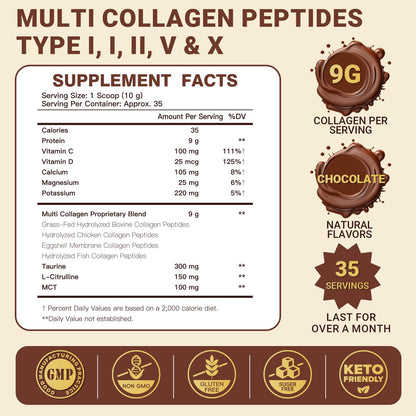 DRFOSTER Chocolate Collagen Peptides Powder for Women & Men, Multi Type I II III V X Collagen with multivitamins & Minerals for Skin, Hair & Nails & Joints, Non-GMO, 35 Servings DRFOSTERBuy Supplements Australia