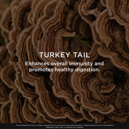 The Genius Brand Genius Turkey Tail - Plant-Based Supplement for Immune, Gut & Antioxidant Support - Organic & Non-GMO - 120 Veggie Capsules The Genius BrandBuy Supplements Australia