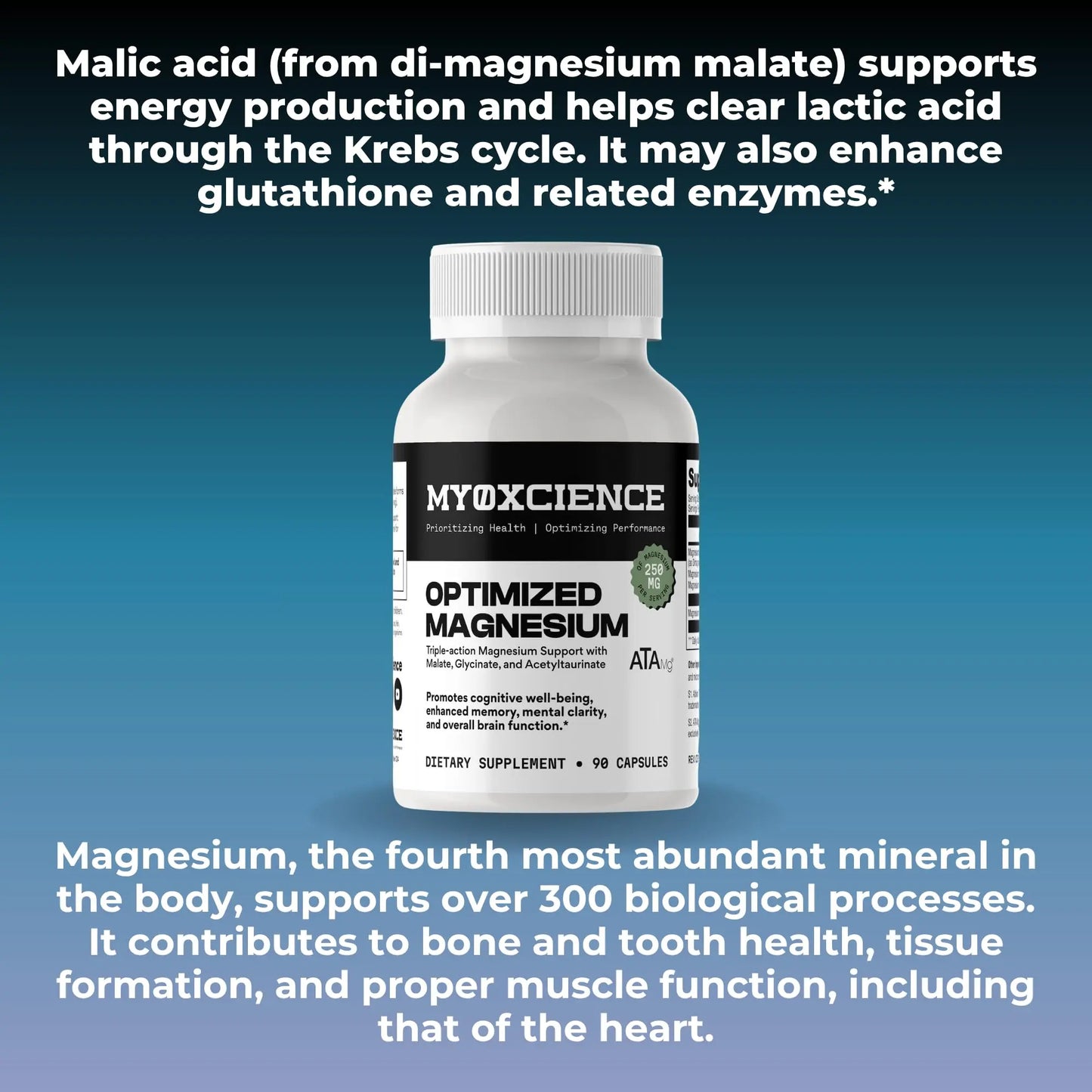 MYOXCIENCE Optimized Magnesium Glycinate + Magnesium Taurate (as ATAmag®) for High Brain Bioavailability to Support Stress Relief and Sleep | 30 Servings MYOXCIENCE buy supplements Au