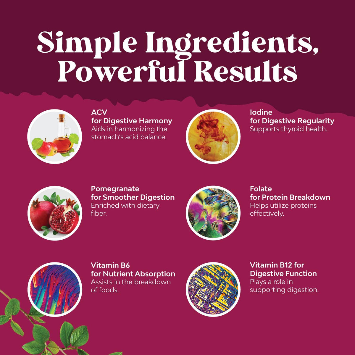 ACV Apple Cider Vinegar Gummies - Natural Energy Supplement ACV with Mother Bio SenseBuy Supplements Australia