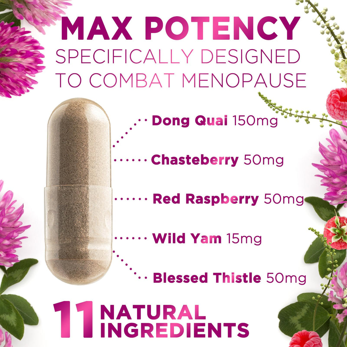 Menopause Supplements for Women - Complete Menopause Relief with Dong Quai & Black Cohosh - For Natural, Mild Hot Flash & Night Sweats - Hormone, Energy & Balance Support, Bottled in USA - 60 Capsules Nature's NutritionBuy Supplements Australia