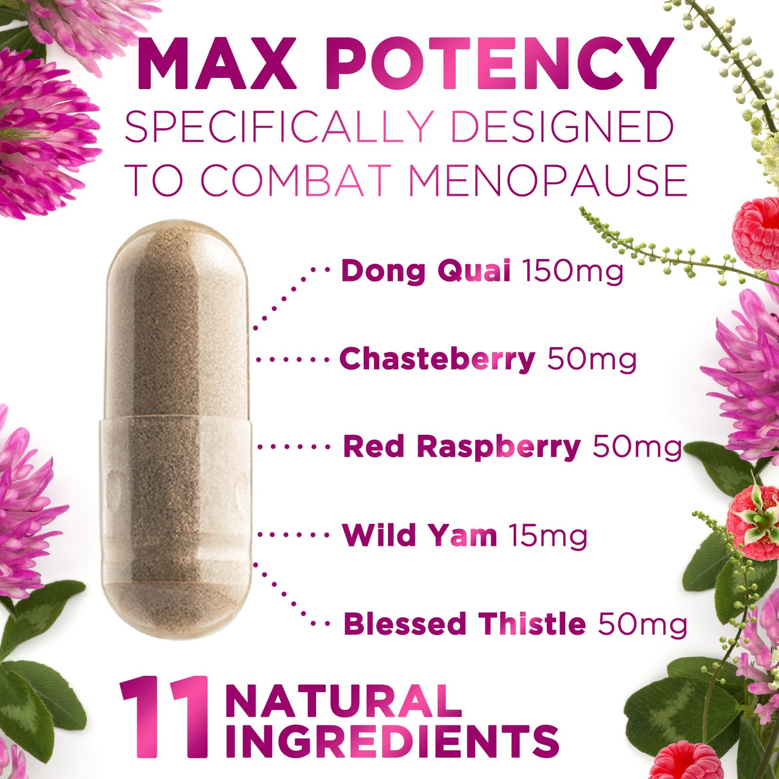 Menopause Supplements for Women - Complete Menopause Relief with Dong Quai & Black Cohosh - For Natural, Mild Hot Flash & Night Sweats - Hormone, Energy & Balance Support, Bottled in USA - 60 Capsules Nature's NutritionBuy Supplements Australia