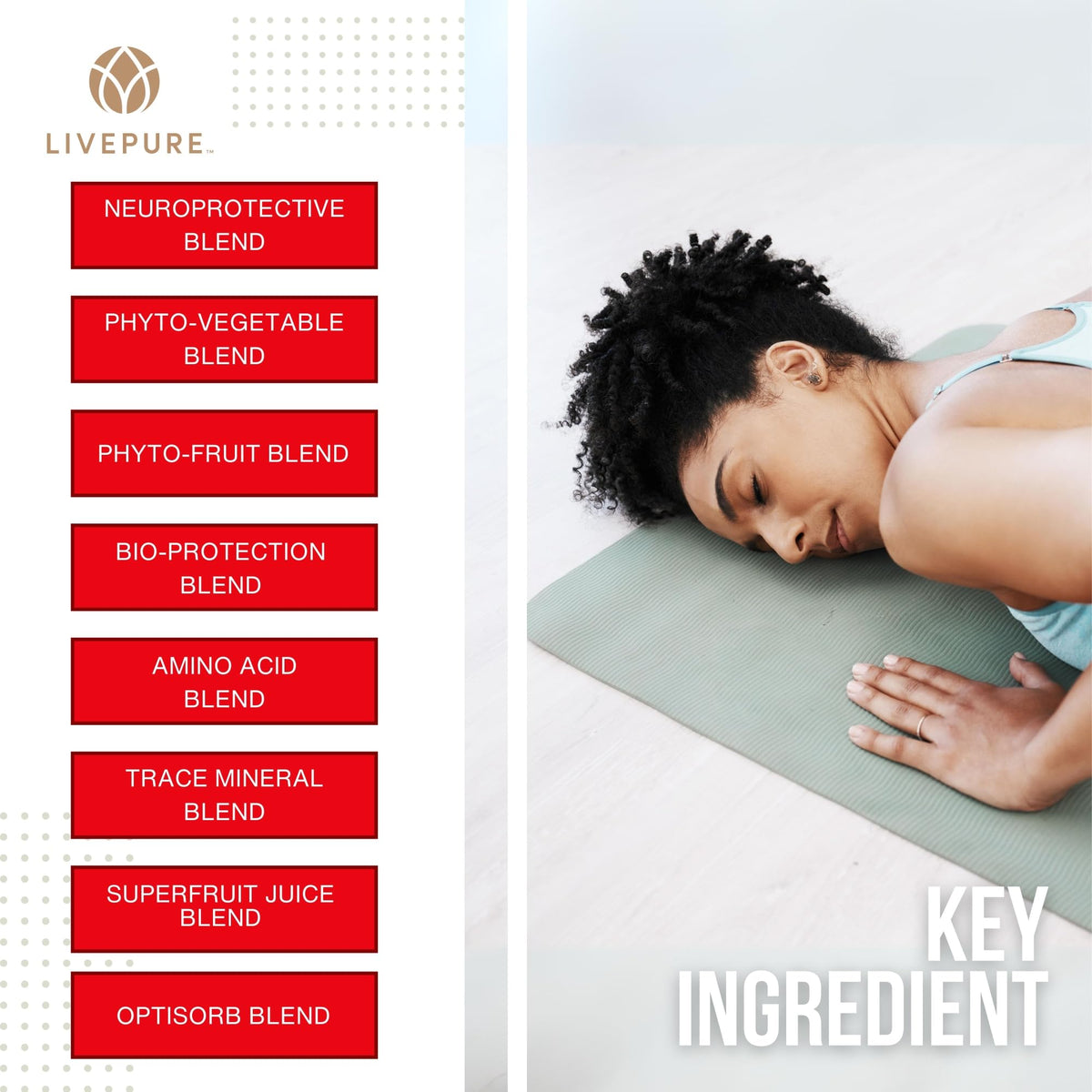 PURE Daily Build | 120 Capsules | Advanced Multivitamin Supplement | Enhanced with Essential Vitamins, Minerals PUREBuy Supplements Australia