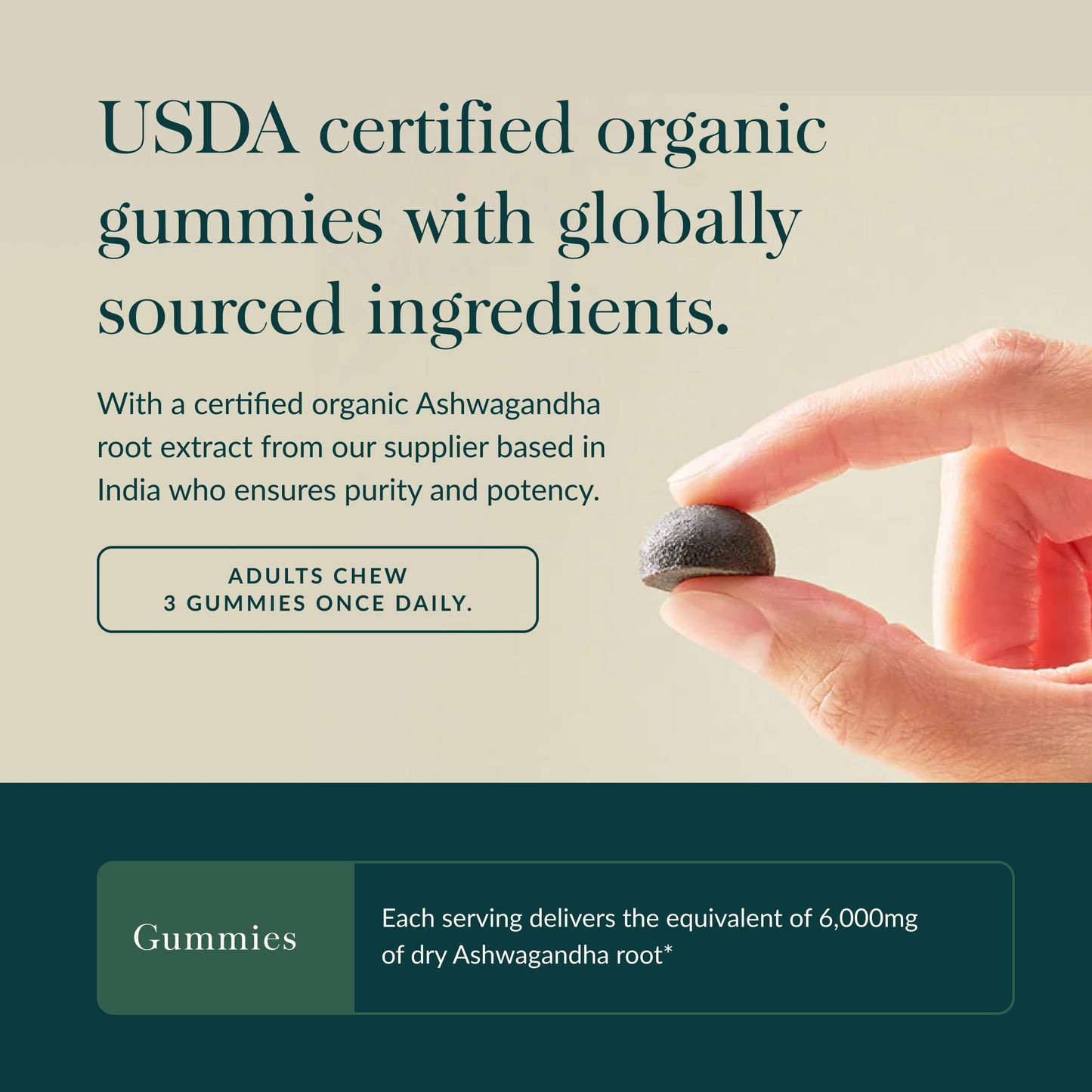 Gaia Herbs Organic Ashwagandha Gummies - Stress Support* - Made with Cinnamon & Ginger - Gluten Free & Vegan - 45 Count (15 Servings) Gaia HerbsBuy Supplements Australia