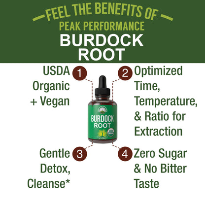 Peak Performance USDA Organic Burdock Root Liquid Drops Supplement. Vegan Extract Tincture for Women and Men. Organic Burdock Root Oil Herb. Zero Sugar, Gluten Free Supplements Peak PerformanceBuy Supplements Australia