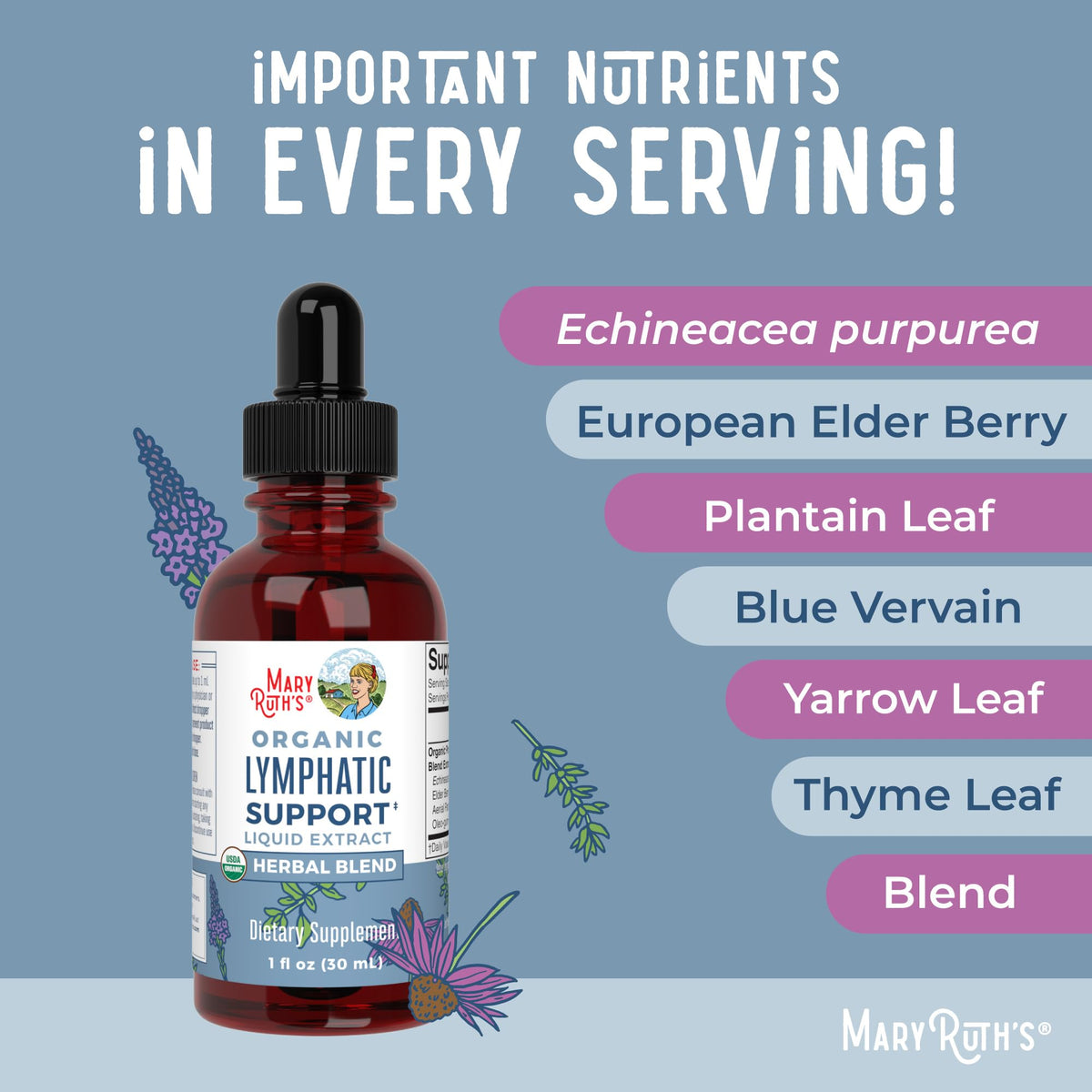 Lymphatic Support Drops by MaryRuth's | USDA Organic Lymphatic Cleanse Immune Support Supplement| Lymphatic Support with Echinacea & Elderberry | Blue Vervain | Vegan | Non-GMO | 30 Servings MARYRUTH'SBuy Supplements Australia
