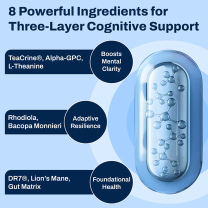 Brain Supplement for Memory and Focus with Probiotics, Advanced 2 in 1 Nootropic Brain Support for Mental Clarity, Caffeine Free Doctor Formulated Supplement, 60 Capsules Purity LabsBuy Supplements Australia