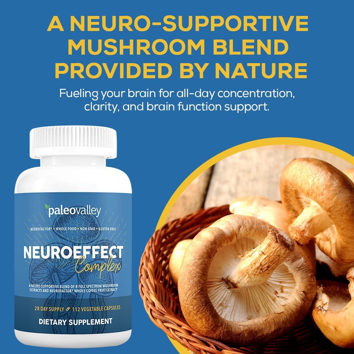 Paleovalley NeuroEffect - Neuro Mushroom Coffee Nutritional Supplement for Focus, Memory, and Energy Support - 28-Day Supply - 8 Full Spectrum Mushroom and Whole Coffee Fruit Extracts PaleovalleyBuy Supplements Australia