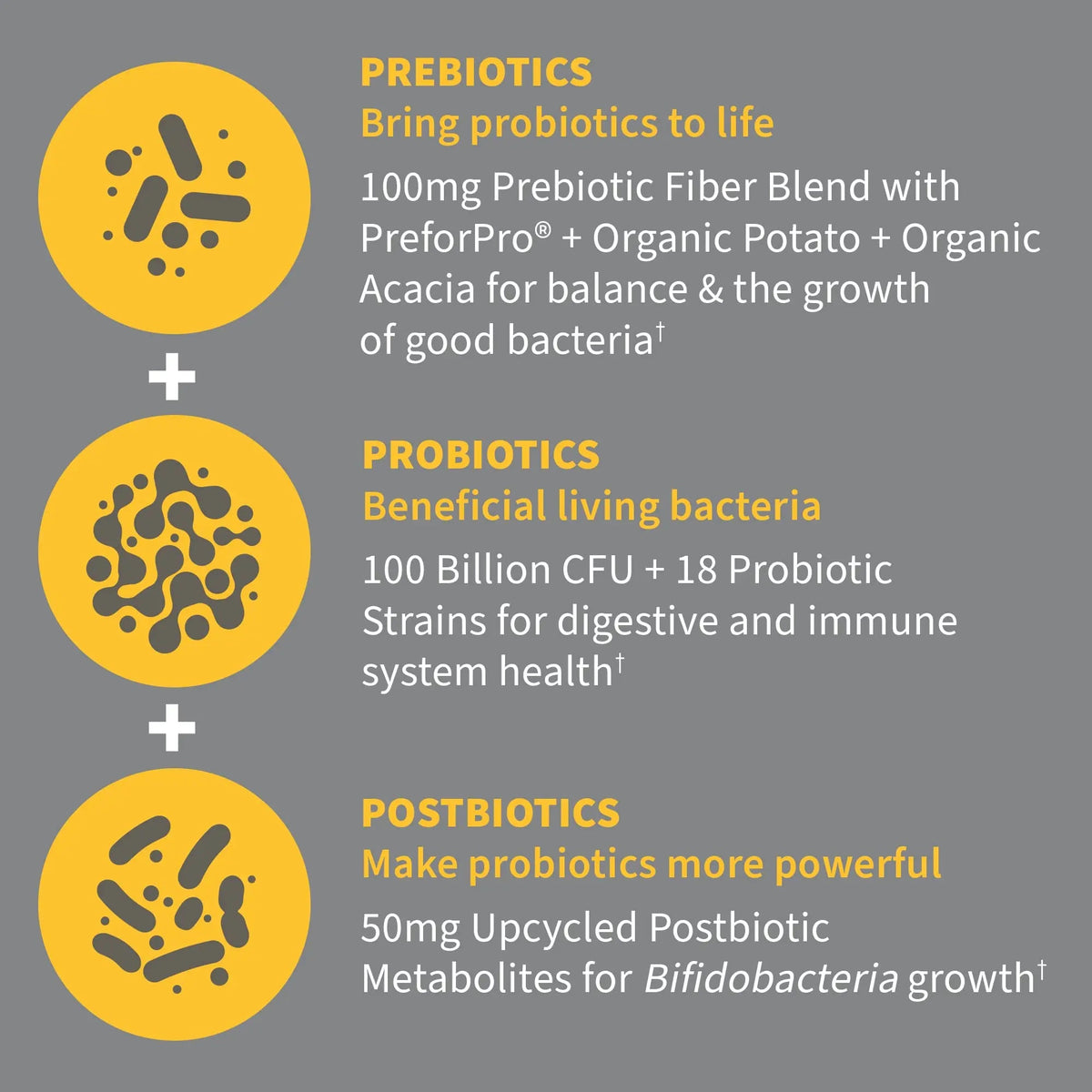 Garden of Life Dr.Formulated Pre, Post & Probiotics 100 Billion CFU Once Daily 3-in-1 Complete Probiotics,Prebiotics & Postbiotics Supplement for Women and Men-Extra Strength,30 Day Supply,(Pack of 2) Garden of LifeBuy Supplements Australia