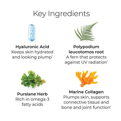 Hush & Hush TimeCapsule Multivitamin, Women's Multivitamin, Men's Multivitamin, Clean Nutraceuticals Supplements That Contains Hyaluronic Acid Hush & HushBuy Supplements Australia