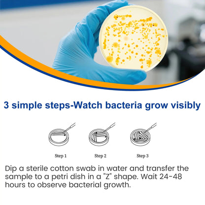 Bacteria Test Kits for Drinking Water - 12 Tests Detect Coliform, E.coli & All Bacteria | Home Quality Testing Kit for Well, Tap, Pool, Hot Tub & City Water | Easy DIY Tester with Free Lab Analysis FunhaostarBuy Supplements Australia