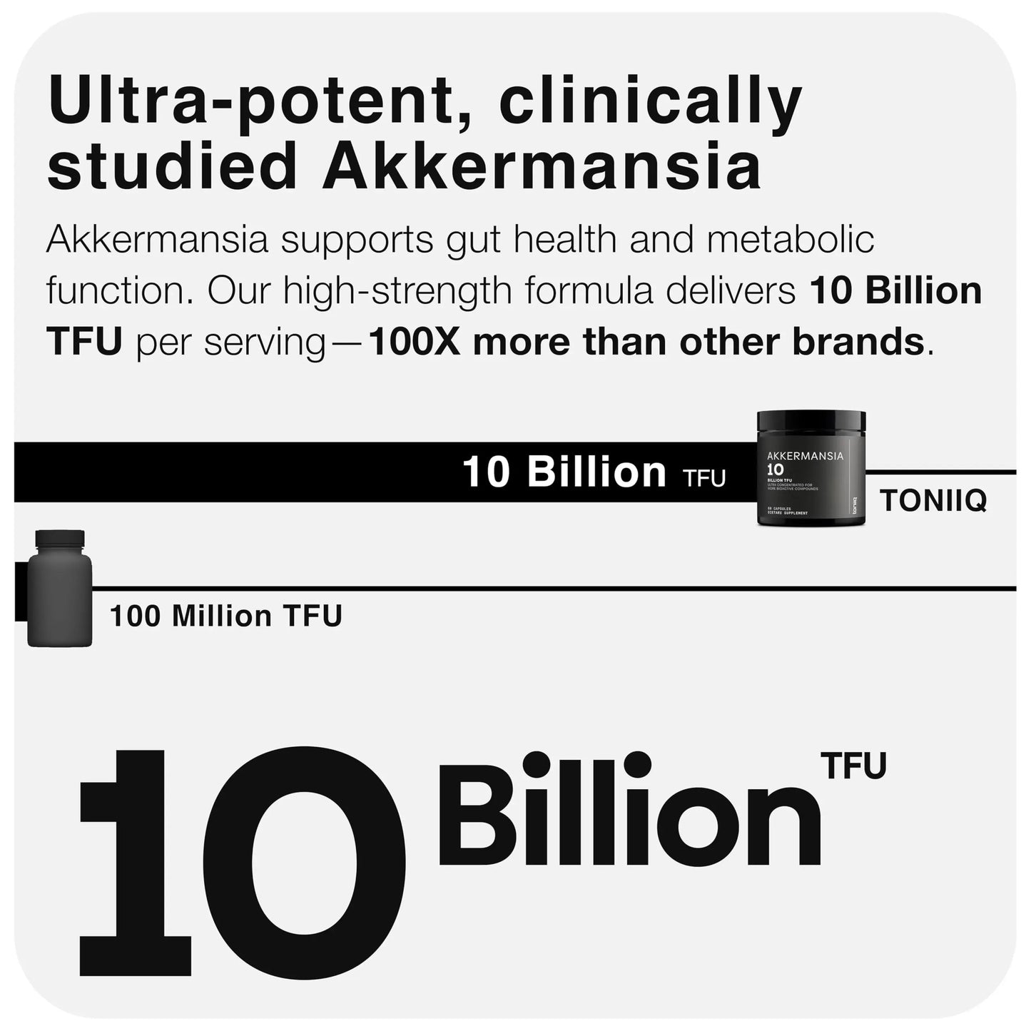 Toniiq Akkermansia Probiotic – 10 Billion TFU – Supports Gut Health & GLP-1 Activity Toniiq buy supplements Au