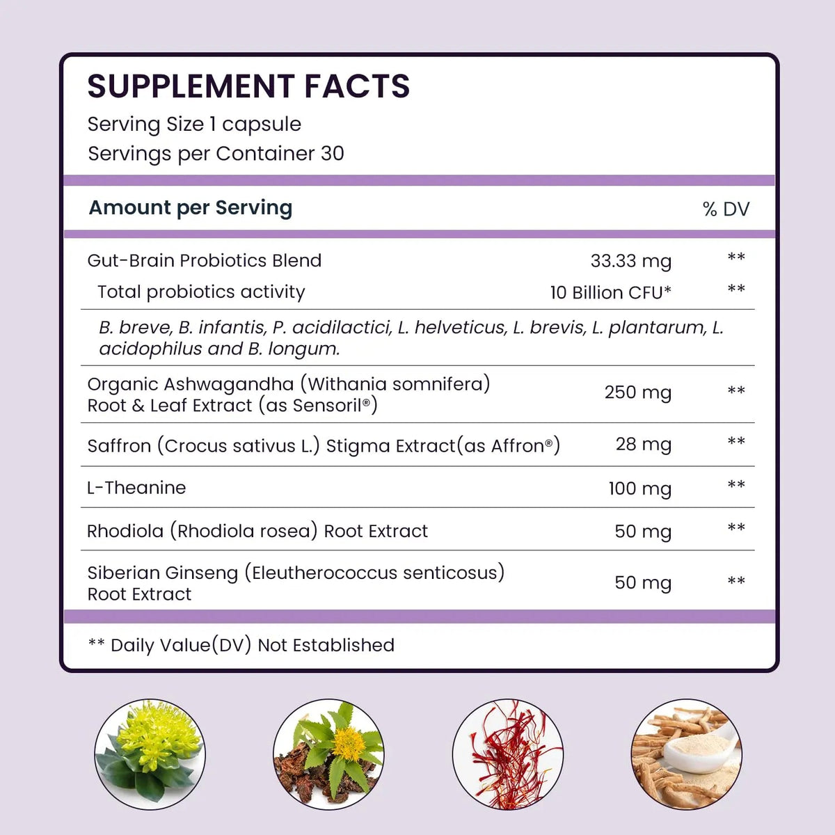 UpNourish Organic Ashwagandha Saffron Supplements with Probiotics - Stress Relief, Mood Enhancer, Calm Happy Pills Support Fatigue Focus Clarity with L-Theanine, Rhodiola, 30 Vegan Capsules UpNourish buy supplements Au
