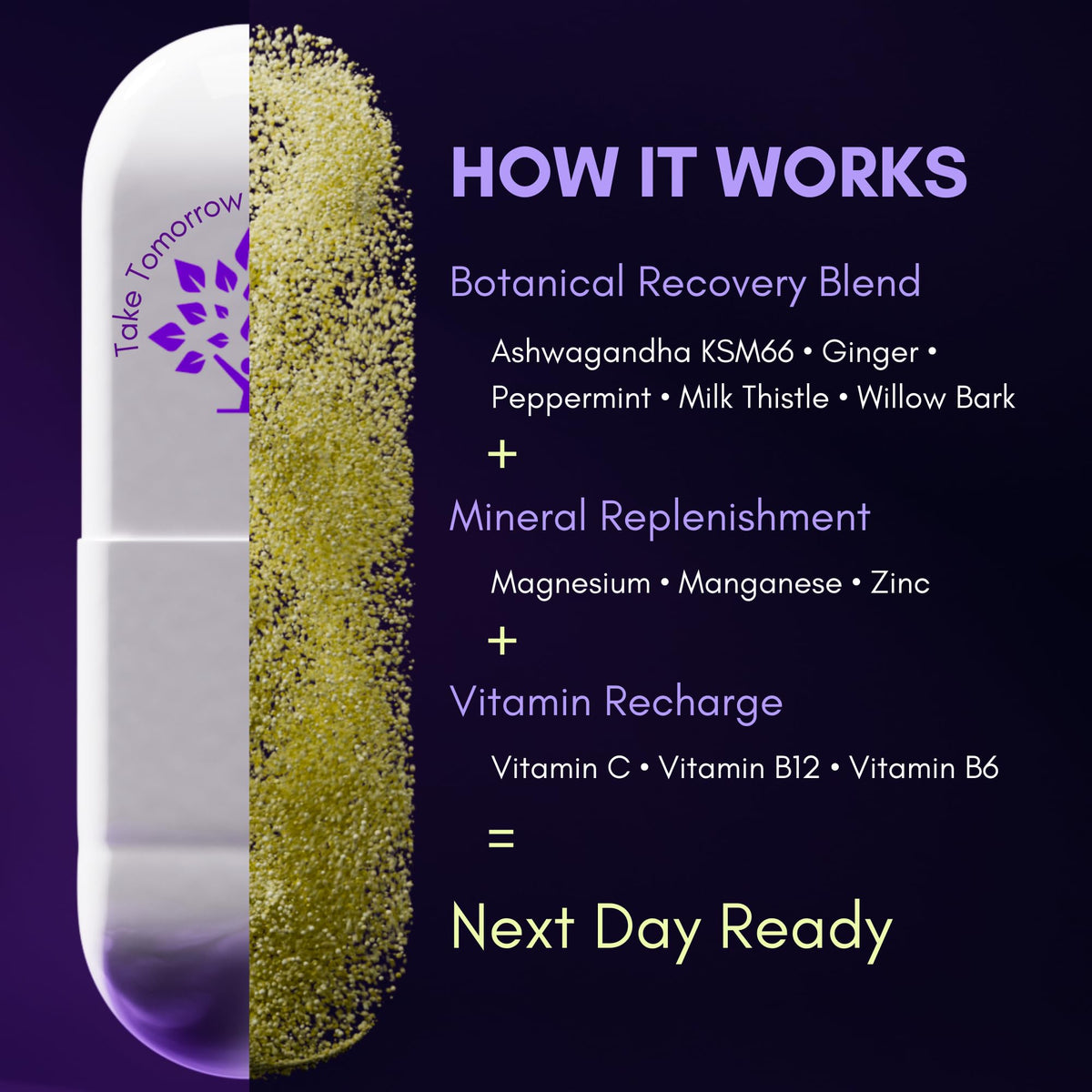 purple tree Next Day – Post-Drink Morning Wellness Supplement for Balance, Restore & Replenishment | Ashwagandha KSM-66, Milk Thistle, Ginger, Peppermint, Electrolytes & Vitamins | 90 Capsules purple treeBuy Supplements Australia