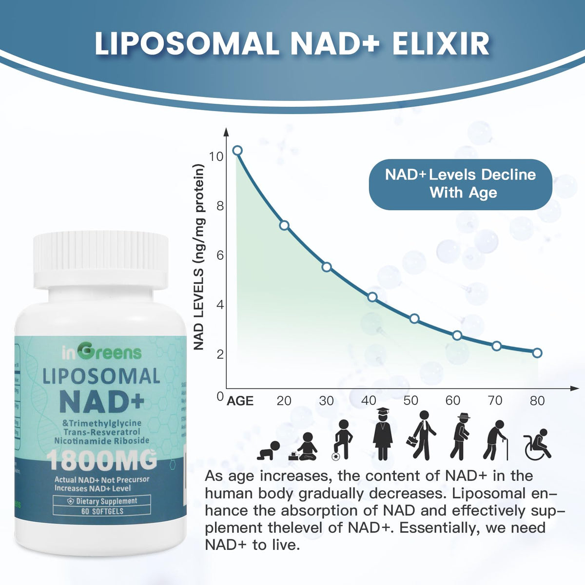 inGreens Liposomal NAD+ Supplement 1800 mg with Nicotinamide Riboside, Trans Resveratrol, Trimethylglycine，Replaces NMN, Boost NAD+, Aging Defense，Cellular Energy, 120 Softgels inGreensBuy Supplements Australia