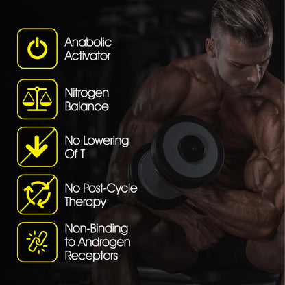 Turkesterone + Ecdysterone | Anabolic Supplement (3 Months - 180 Caps) Olympic Grade Testing - ISO 17025 Certification |1000mg - 98%-95% Purity with Lab Synthesized Cyclodextrin | Beta Ecdisterona Flight ArmourBuy Supplements Australia