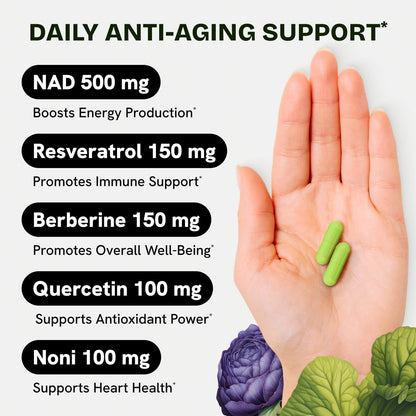 Liposomal NAD Supplement for Women w/Noni | 5-in-1 NAD Resveratrol Supplement w/Berberine & Quercetin | Pure NMN Powder Alternative | Supports Anti Aging & NAD+ Levels | 60 caps - 1 Pack Resurrected HealthBuy Supplements Australia