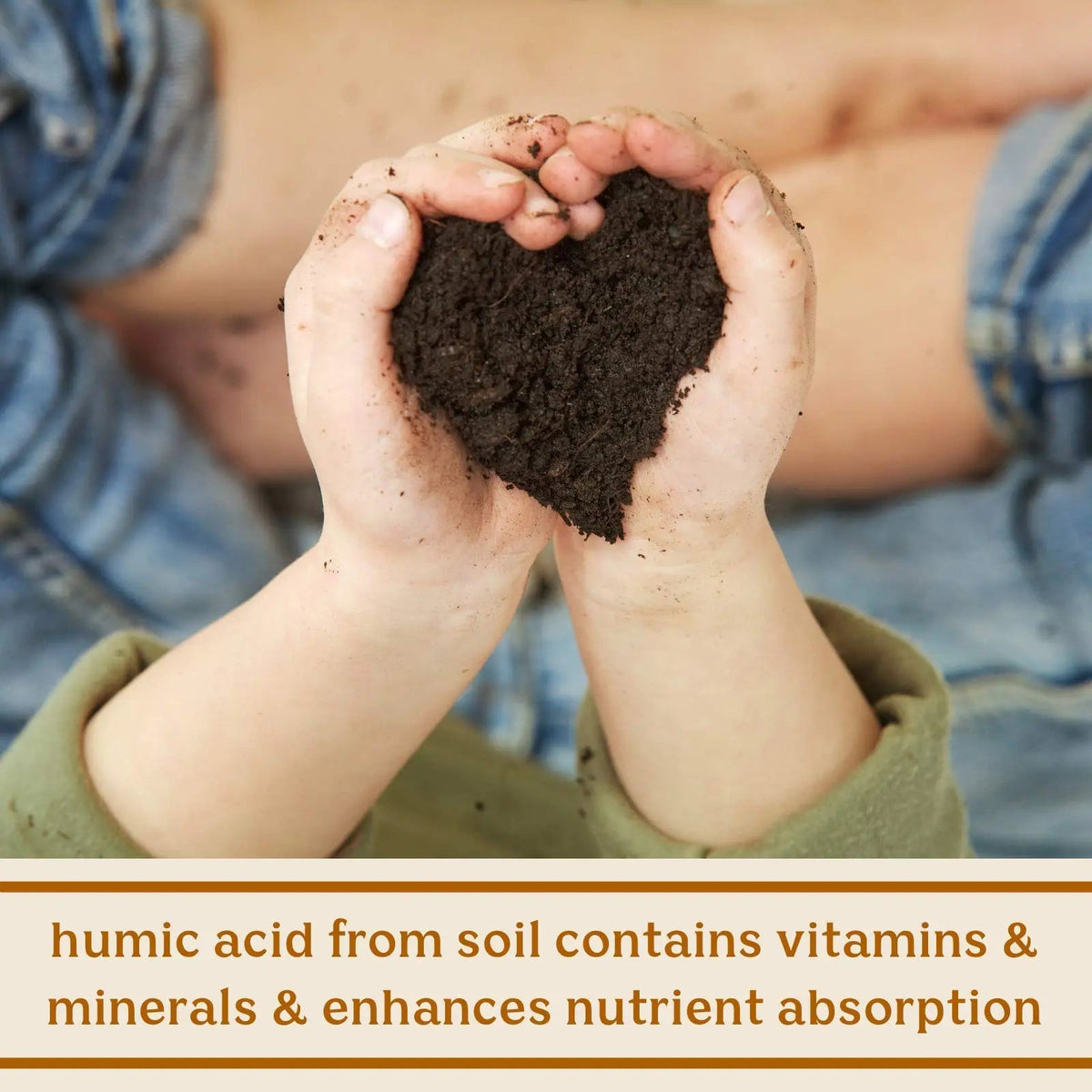 Feel Good SBO Probiotics — Soil Based Organisms (SBOs), Prebiotics, Postbiotics, Humic Acid, Shilajit, Chaga & Turkey Tail Mushroom for Digestion — Solluna by Kimberly Snyder (60CT) Vegan & Non-GMO Solluna by Kimberly SnyderBuy Supplements Australia