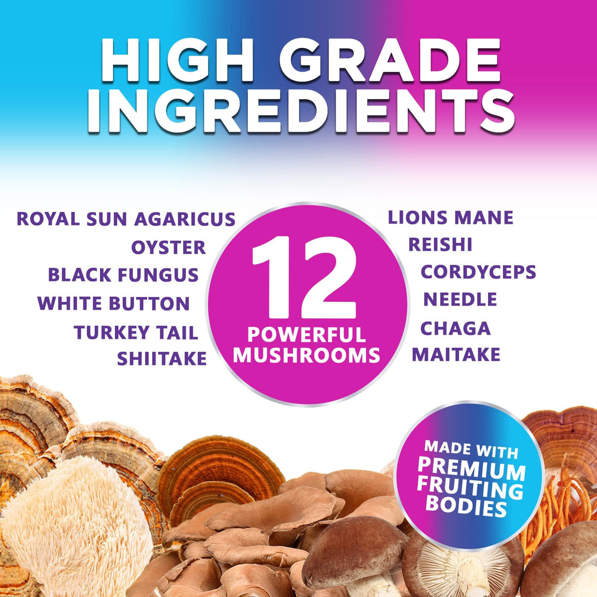 Mushroom Gummies Supplement 12 in 1 - High Grade Blend for Adults with Lions Mane, Reishi, Cordyceps, & Chaga Mushroom Complex Gummy, Memory & Immune Support & Nootropic Brain Supplements - 60 Gummies Nature's NutritionBuy Supplements Australia
