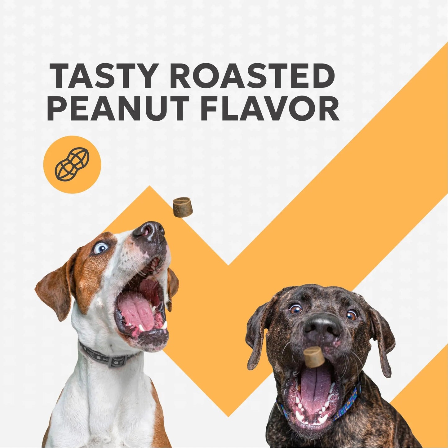 Nutramax Filaquin Anal Gland Supplement for Dogs, from The Same Company as Cosequin & Proviable, with Pre & Postbiotics and Psyllium Husk Fiber to Support Anal Gland Health, 90 Count Soft Chews Nutramax LaboratoriesBuy Supplements Australia
