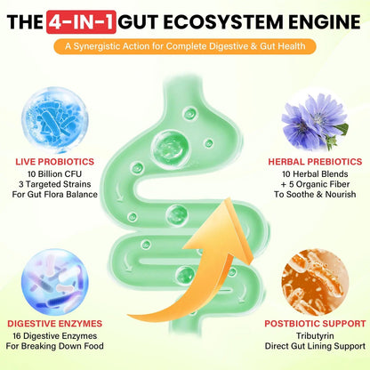 Probiotics for Women and Men, with 15 Prebiotics, 16 Digestive Enzymes & Postbiotics - Probiotics for Digestive Health & Bloating, Probiotic Gummies for Gut Health & Immunity, Sugar-Free, 60 Gummies FletorraBuy Supplements Australia