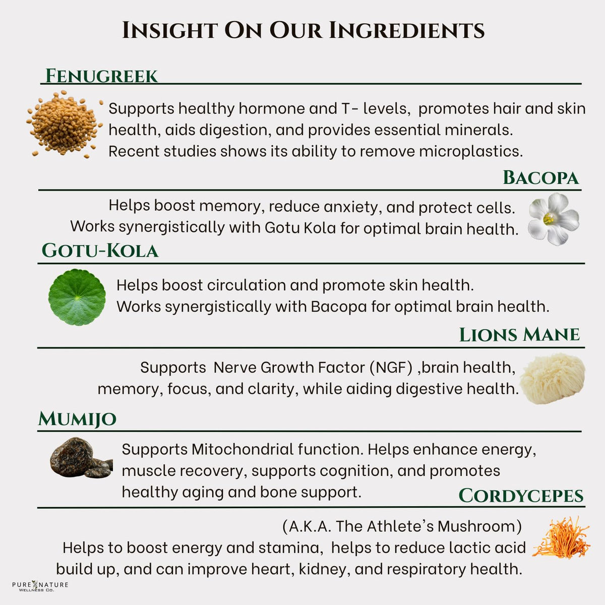 Focus + Energy + Performance Support-6-in-1 Mushroom Nootropic & Mitochondrial Complex-Advanced Brain Supplement-Natural Energy-Caffeine Free Biohack with Lion’s Mane,Cordyceps,Mumijo,Fenugreek Pure Nature Wellness Co.Buy Supplements Australia