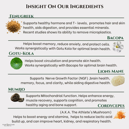 Focus + Energy + Performance Support-6-in-1 Mushroom Nootropic & Mitochondrial Complex-Advanced Brain Supplement-Natural Energy-Caffeine Free Biohack with Lion’s Mane,Cordyceps,Mumijo,Fenugreek Pure Nature Wellness Co.Buy Supplements Australia