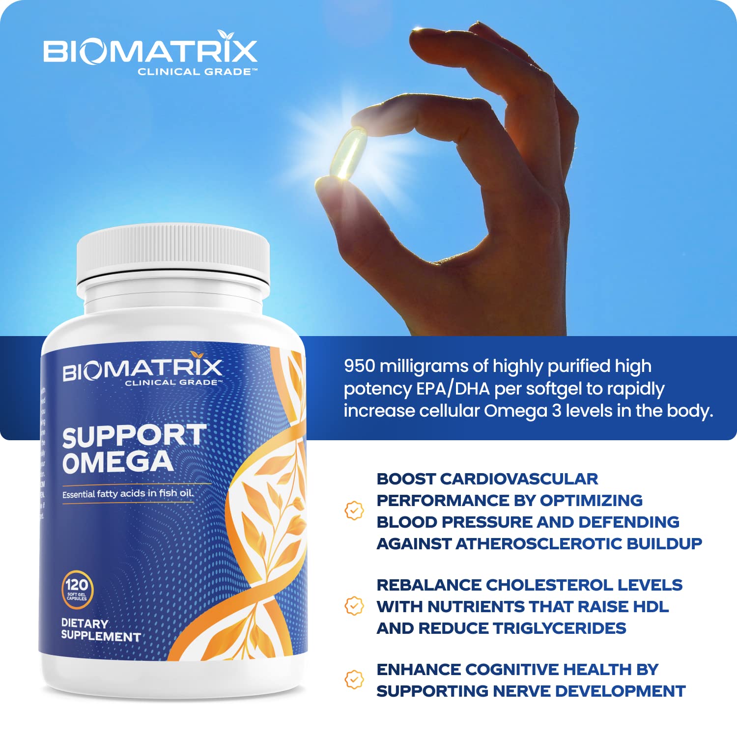Support Omega EPA DHA Omega 3 Fish Oil Supplement - Cardiovascular, Musculoskeletal Support (120 Gel Capsules) BioMatrix buy supplements Au