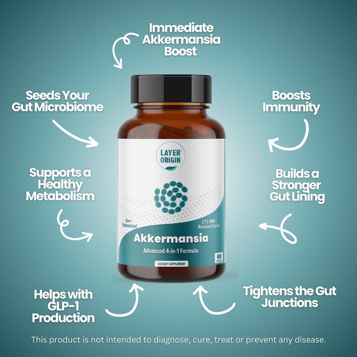 Layer Origin Akkermansia muciniphila Probiotic, with Both Live + Pasteurized Akkermansia and PureHMO Prebiotic, Validated Strain, Updated 4-in-1 Formula