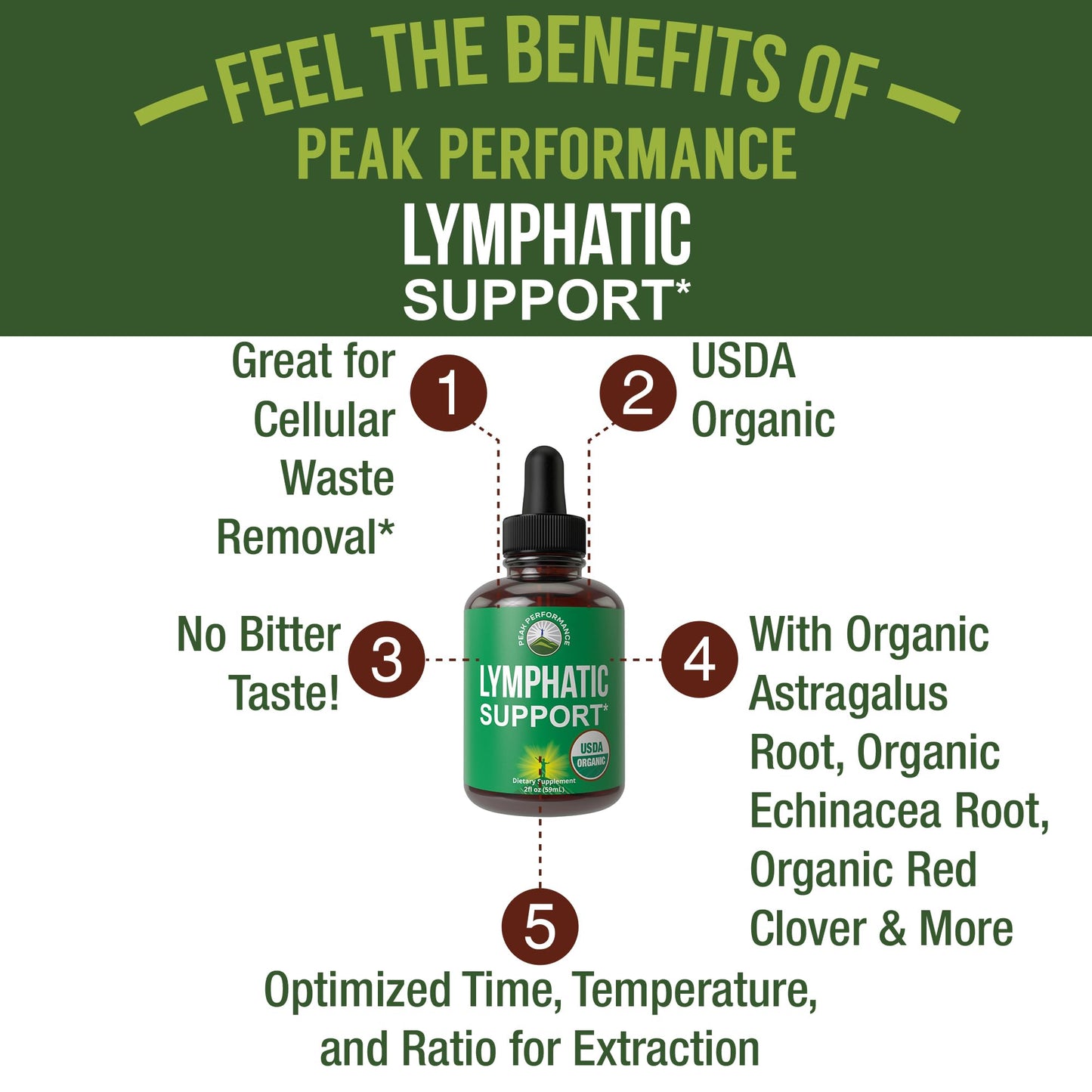 USDA Organic Lymphatic Drainage Drops. Sugar Free, Tasty 6-in-1 Lymph System Support for Detox, Cleanse. Vegan Supplement with Astragalus, Echinacea, Red Clover, Cleavers Herb, Licorice & Burdock Root Peak PerformanceBuy Supplements Australia