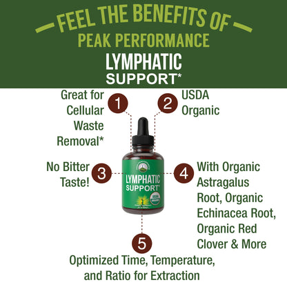 USDA Organic Lymphatic Drainage Drops. Sugar Free, Tasty 6-in-1 Lymph System Support for Detox, Cleanse. Vegan Supplement with Astragalus, Echinacea, Red Clover, Cleavers Herb, Licorice & Burdock Root Peak PerformanceBuy Supplements Australia