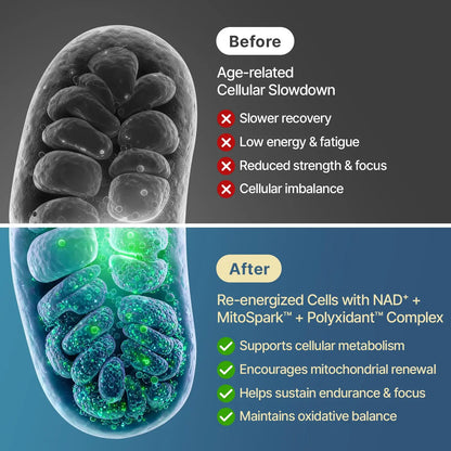 SYZY GENICS NAD+ Supplement 1600mg Extra Strength - Liposomal NMN Alternative with Resveratrol, Urolithin A, CoQ10, Quercetin & ALA - Mitochondrial Energy & Anti-Aging, Cell Regeneration, 60 Softgels SYZY GENICSBuy Supplements Australia