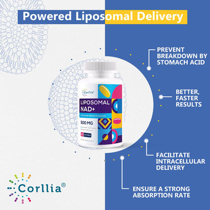 Liposomal NAD+ 500mg with TMG 250mg Softgels, Nicotinamide Riboside Alternative, Actual NAD+ Supplement, 120 Servings CorlliaBuy Supplements Australia