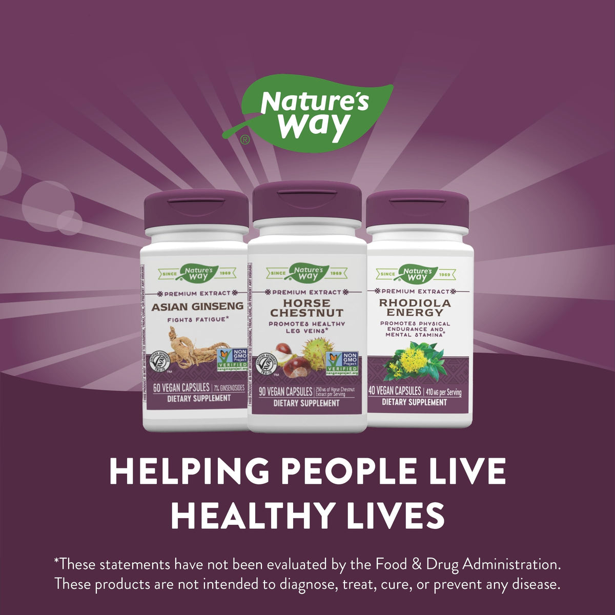 Nature's Way Standardized Horse Chestnut, Premium Extract for Healthy Veins and Blood Nature's WayBuy Supplements Australia