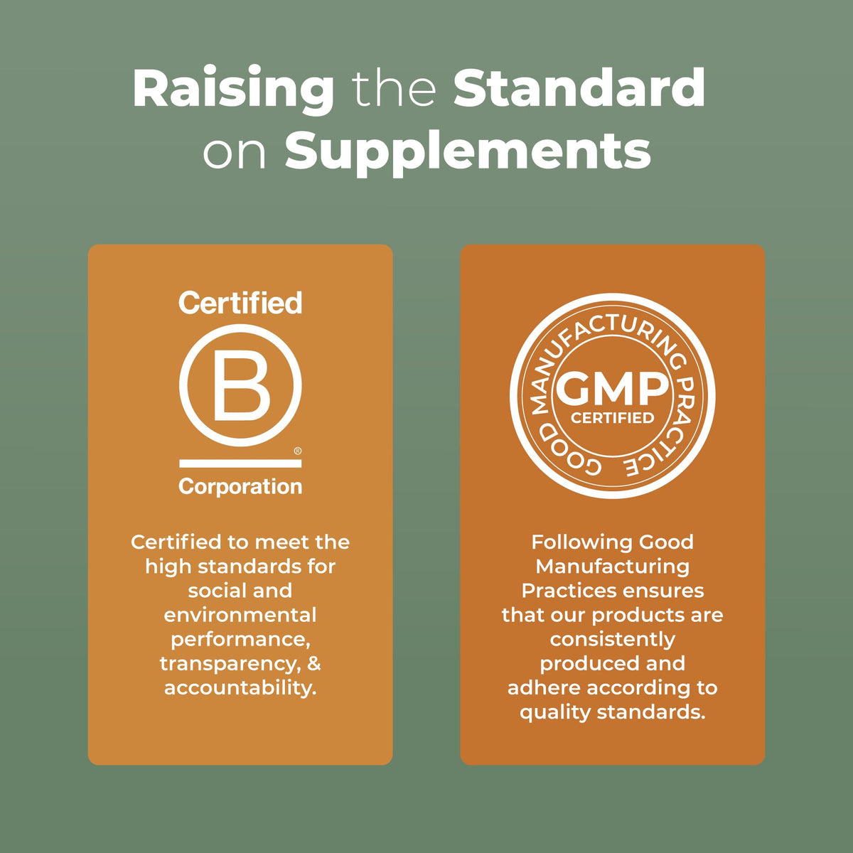 MaryRuth Organics Reishi Vegan Mushroom Supplement | Ultra Absorption Liposomal | Immune Support with 200mg Beta-Glucans, Vegan |Full Spectrum Reishi Mushrooms Fruiting Body | 7.6 oz, MARYRUTH'SBuy Supplements Australia