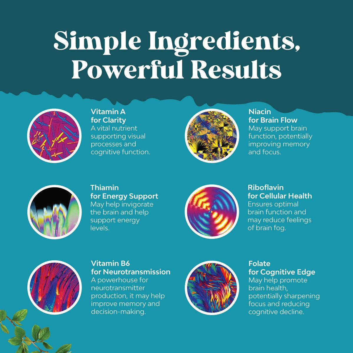 Nootropic Brain Supplement for Memory and Focus Enhancement - Vitamins for Mental Health & Clarity with VIT A, B6, Riboflavin, Niacin, Thiamin & Folate - Cognitive Complex for Mind Vitality - 60 Ct Natures CraftBuy Supplements Australia