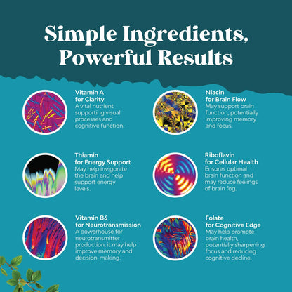 Nootropic Brain Supplement for Memory and Focus Enhancement - Vitamins for Mental Health & Clarity with VIT A, B6, Riboflavin, Niacin, Thiamin & Folate - Cognitive Complex for Mind Vitality - 60 Ct Natures CraftBuy Supplements Australia