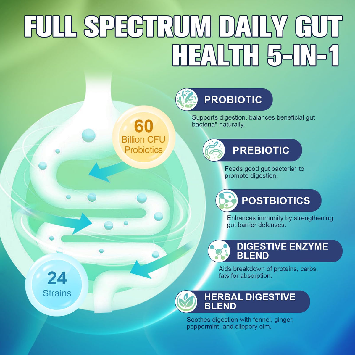Totaria 5-in-1 60 Billion CFU Probiotic Prebiotic & Postbiotic for Women & Men, w/Digestive Enzymes, Slippery Elm, Daily Complete Gut Health,