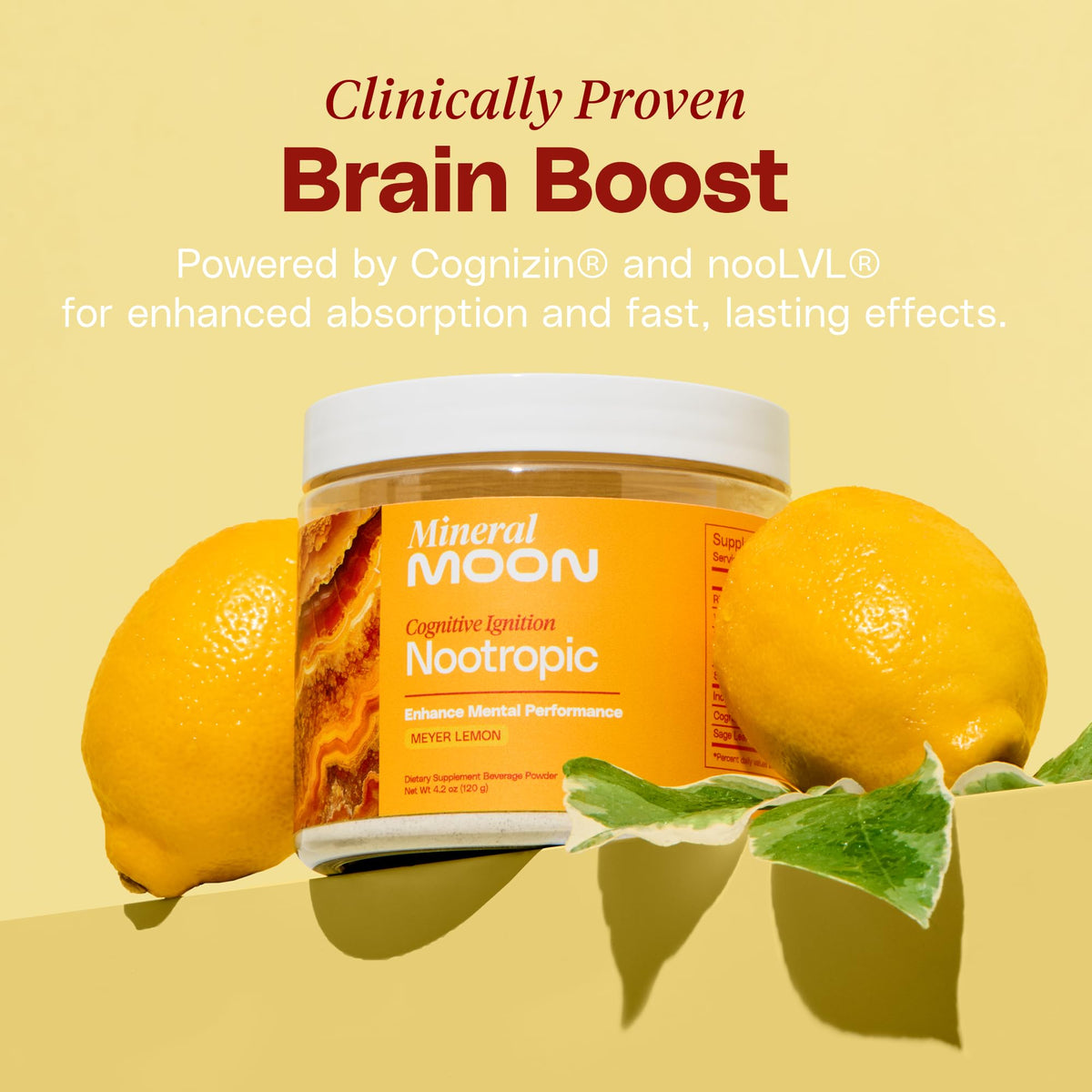 Mineral Moon Premium Cognitive Ignition Nootropic Powder - Brain Supplements For Memory & Focus - Sage Extract, B Vitamins,Cognizine Citicoline& nooLVL - Supports Mental Clarity - No Caffeine or Sugar Mineral MoonBuy Supplements Australia