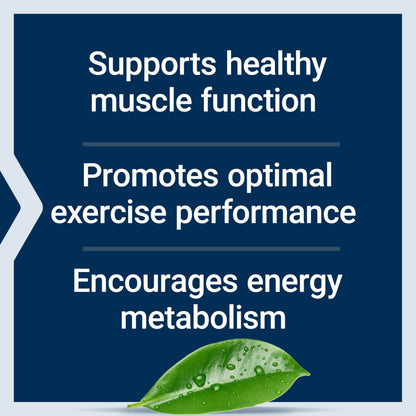 Life Extension Creatine Capsules – Creatine Monohydrate – Promotes Strength, Lean Muscle, Healthy Endurance – Non-GMO, Gluten-Free – 120 Capsules Life ExtensionBuy Supplements Australia